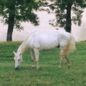 Meet your Posher, Earl